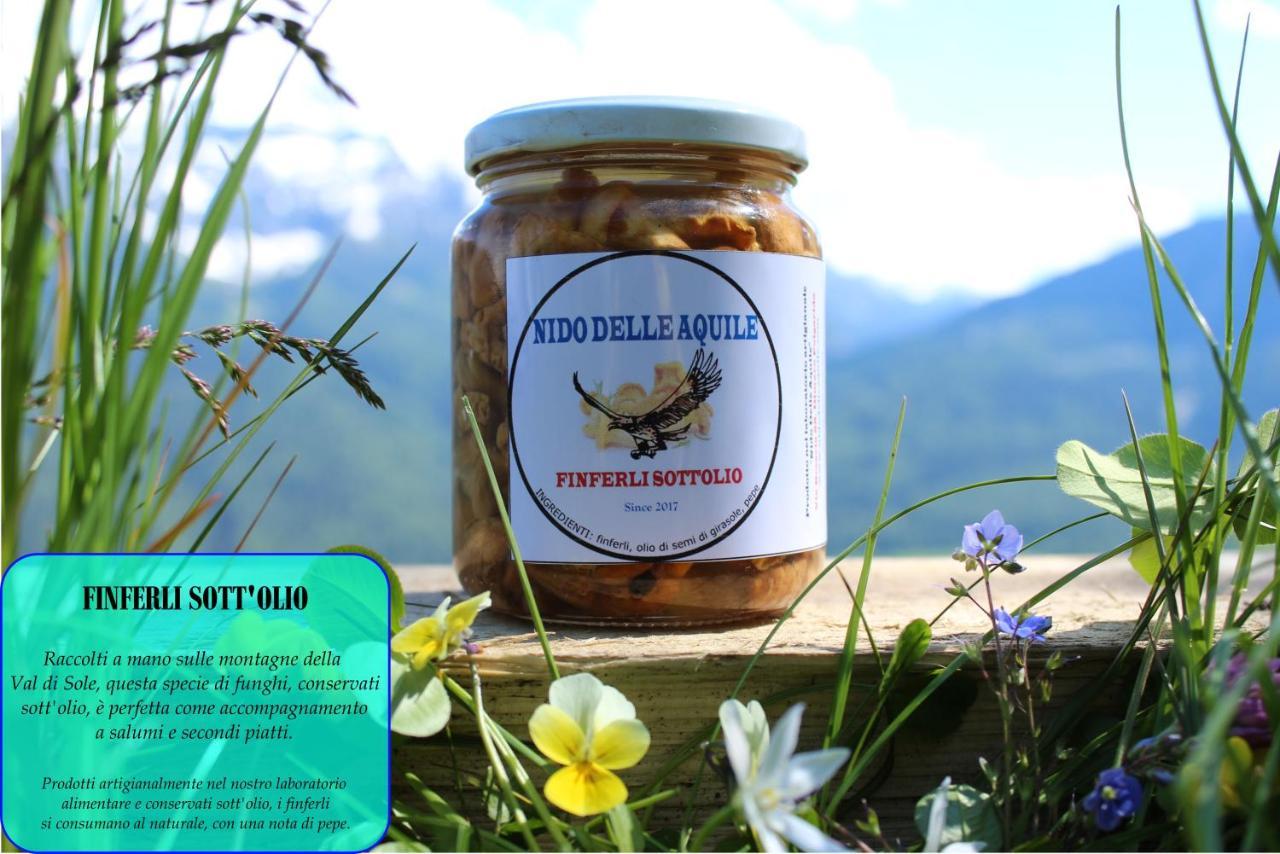 B&B Nido Delle Aquile Monclassico Eksteriør billede