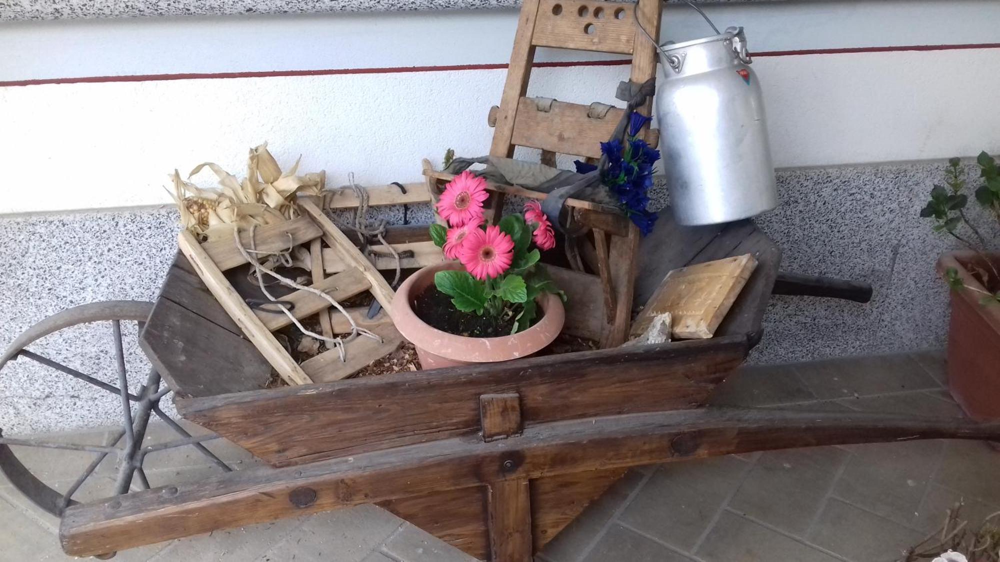 B&B Nido Delle Aquile Monclassico Eksteriør billede